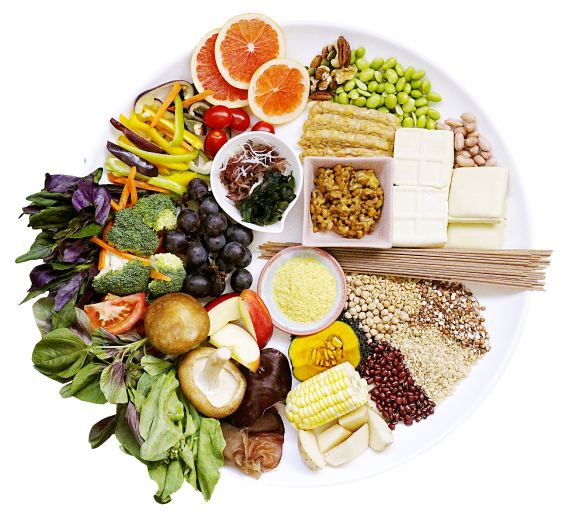 211 plate real food illustration
