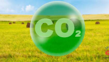 CO2_cover