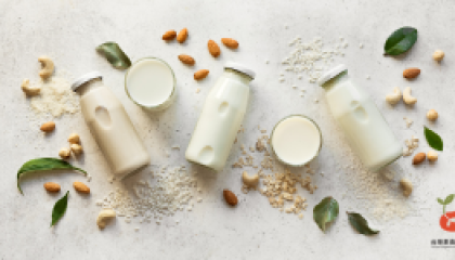 Ca plant milk_cover