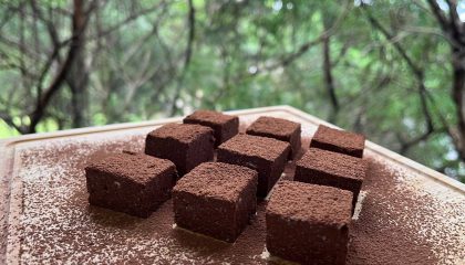 S__40501265.jpg
