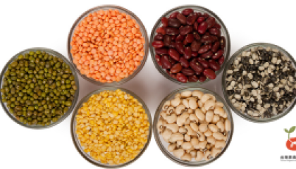 bean_cover