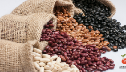 beans_cover