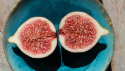 fig_cover