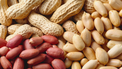 peanut_cover