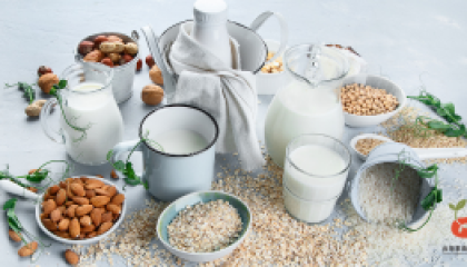 plant milk_cover