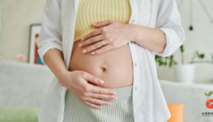 pregnant_cover (2)