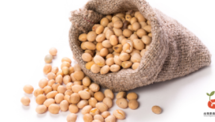soybean_cover