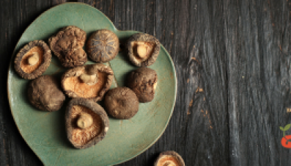 mushroom_cover